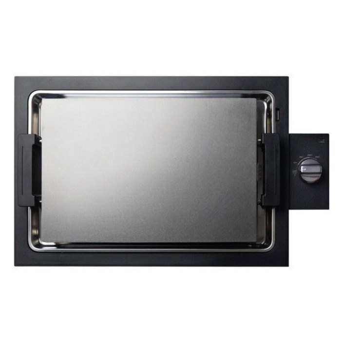 발뮤다 더 플레이트 프로 소유