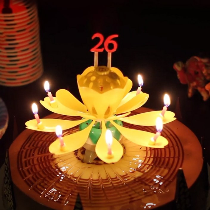 스토리빙 생일 축하 초 연꽃 멜로디 선물 파티 용품 숫자 토퍼 19p 세트 스토리빙 생일 축하 초 연꽃 멜로디 선물 파티 용품 숫자 토퍼 19p 세트