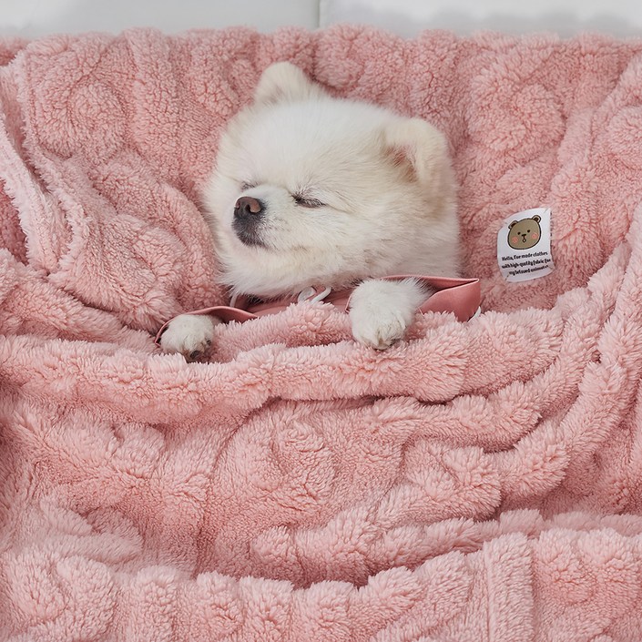 도그아이 반려동물 펫 꽈배기 담요