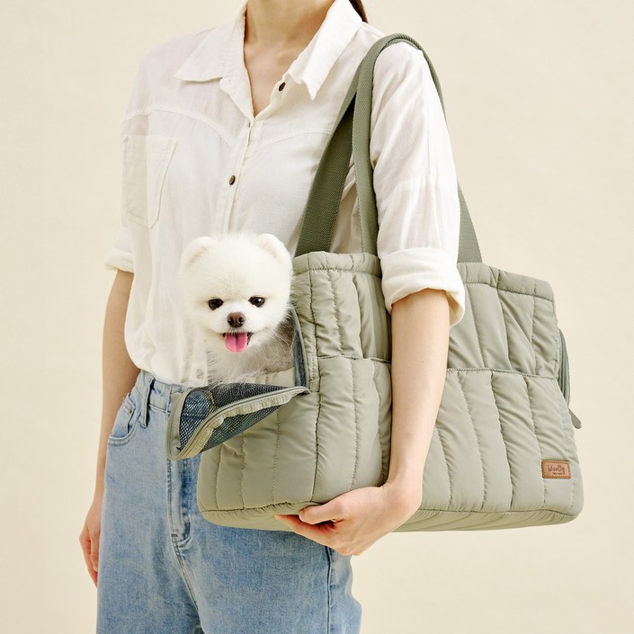 울리 반려동물 퍼스트 이동가방