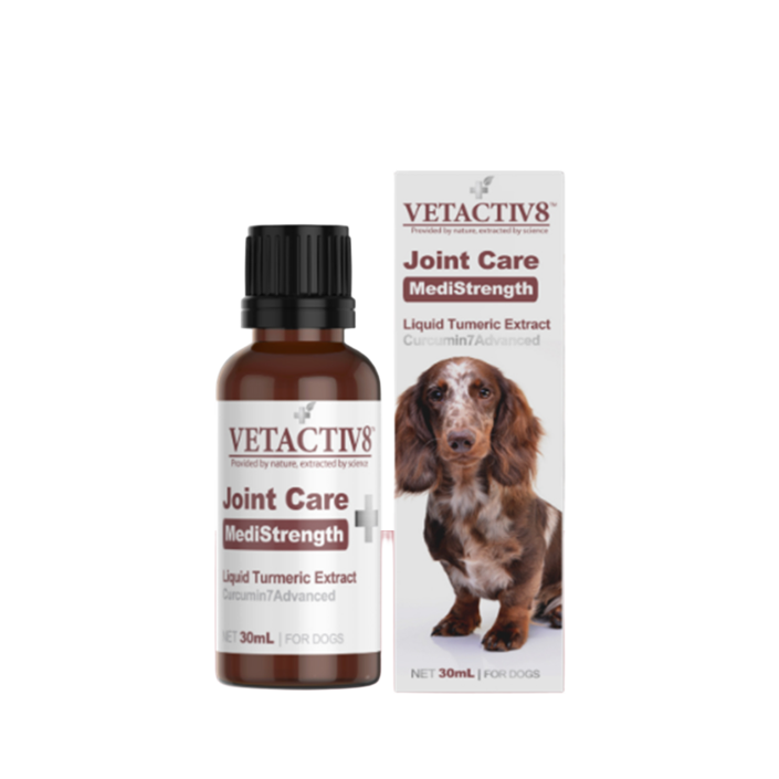 벳액티브8 조인트케어 30ml 관절영양제