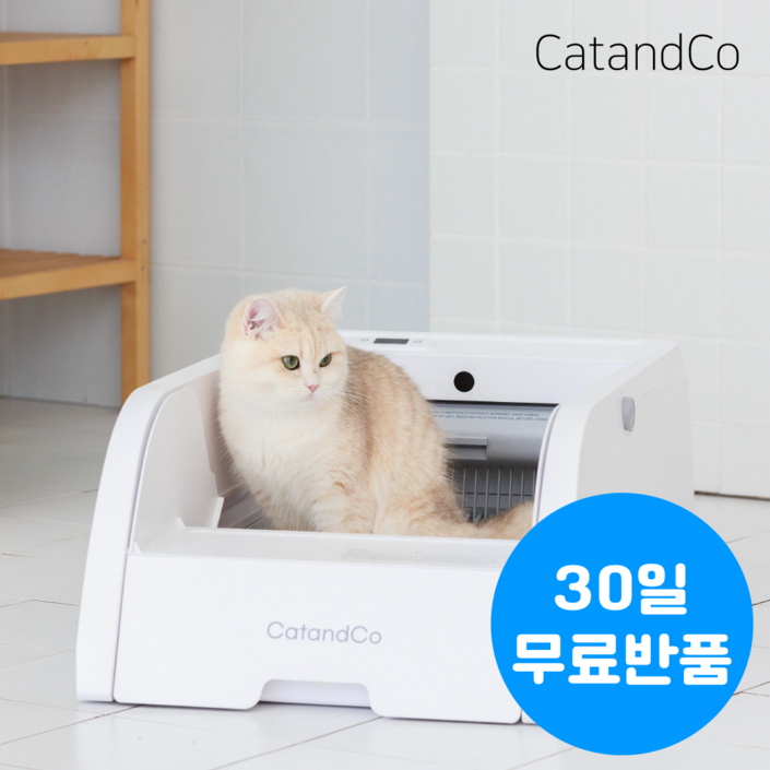 캣앤코 고양이 오픈형 자동화장실 스마트 프리미엄 자동처리기 배변 저소음 화장실 청소 살균, 1개, 화이트 일반