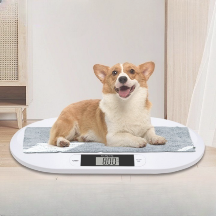 모노그릿 반려동물 강아지 고양이 체중계 펫저울 모노그릿 반려동물 강아지 고양이 체중계 펫저울