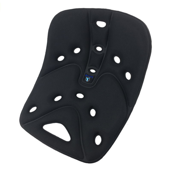 정품 Backjoy 백조이 자세교정 골반 지지 방석 좌석 포스쳐 플러스  Posture Plus, Relief