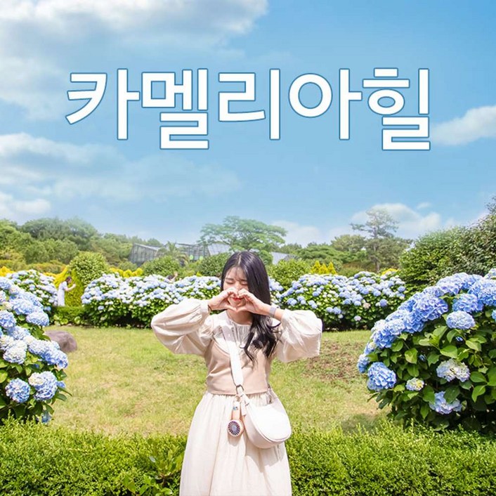 카멜리아힐+♥심쿵혜택♥ <197868>