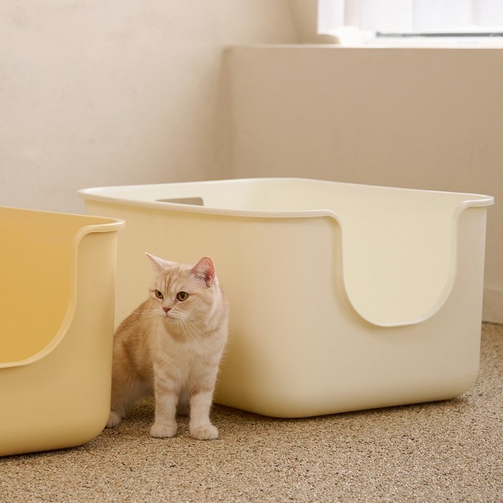 본사직영당일출고강집사 초대형 플러스S 고양이화장실, 1개, 옐로