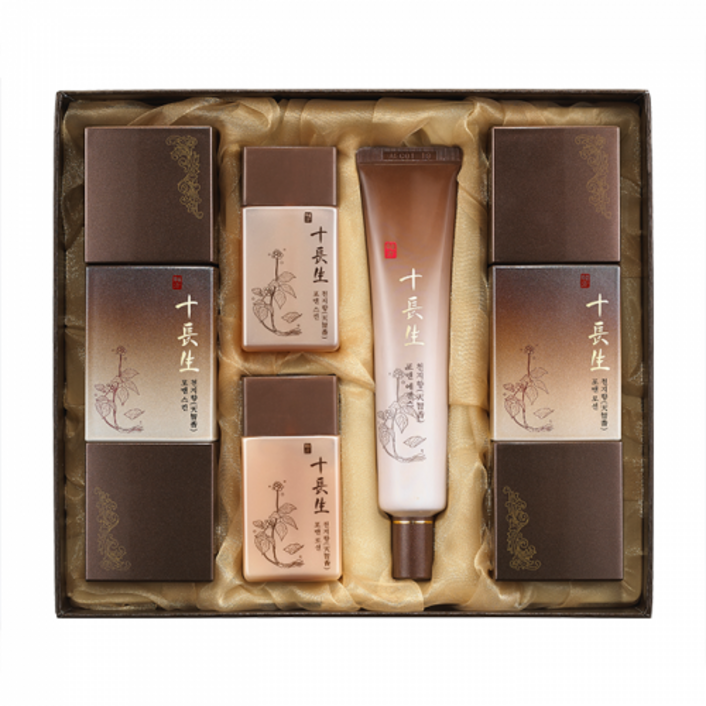 로제화장품 정품 십장생 천지향 포맨 2종세트스킨로션, 1세트