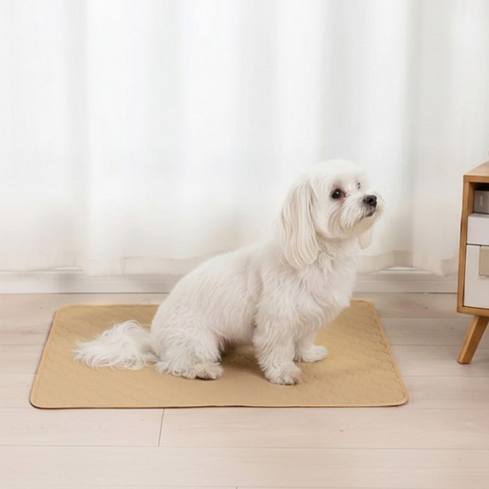 펫코노미 반려동물 빨아쓰는 소변매트 베이지