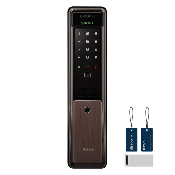 솔리티 웰콤 WiFi 얼굴인식 푸시풀 Iot 디지털 도어락 WSP2900A PLUS, 고객직접설치, WSP2900A PLUS
