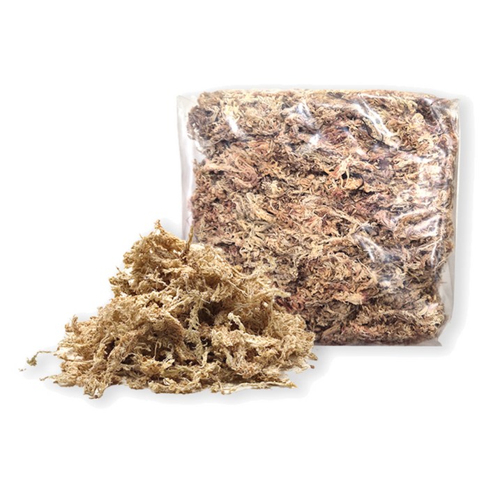 가든잇 깨끗한 수태 이끼 75g