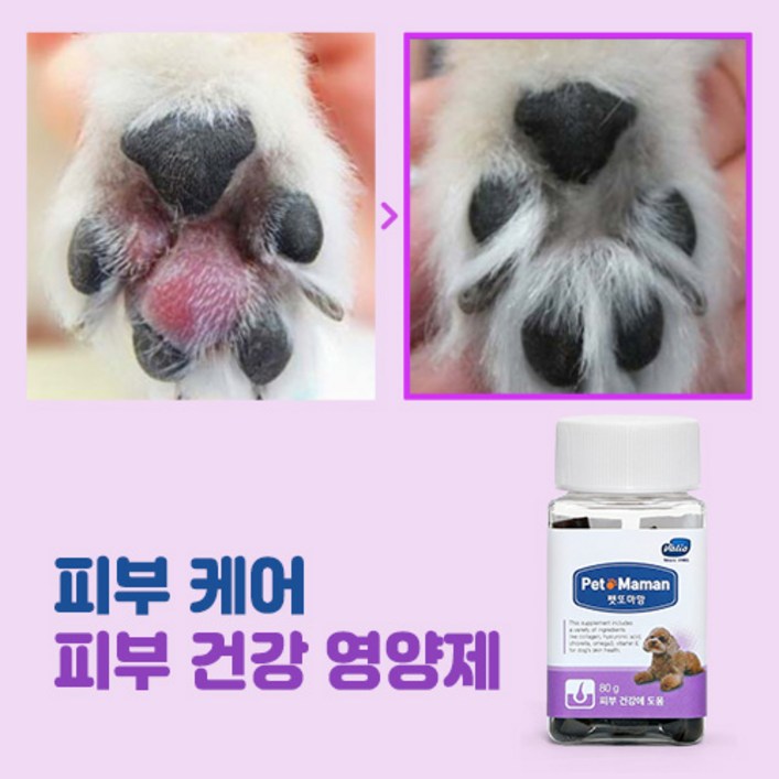 펫또마망 강아지 피부 영양제 습진붉은피부피부면역 2BOX, 피부건강에 도움 2BOX