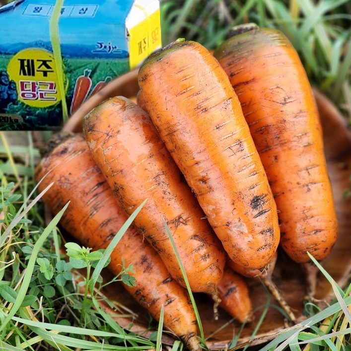 국내산 울팜 제주 햇당근 흙당근 당근, 1개, 흙당근2kg중,100g내외