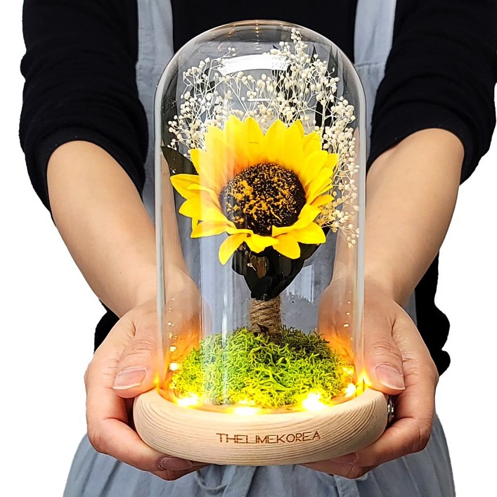 더라임코리아 풍수 해바라기 LED 유리돔 무드등 집들이 이사 개업 선물, 단일색상