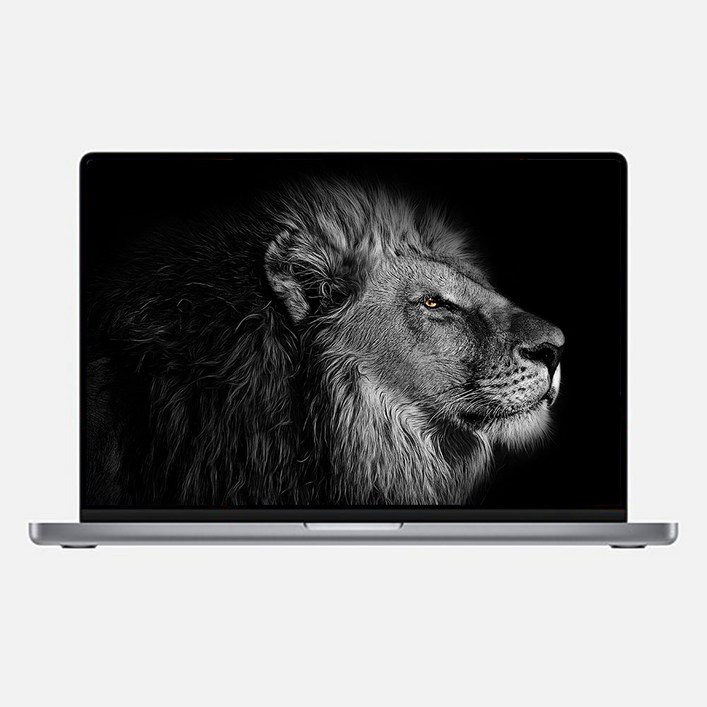 중고 애플 맥북프로 2021 14인치 M1 PRO A2442 16GB 512GB 스페이스 그레이 B급 특가 상품, 애플 맥북프로 A2442, MAC OS, 16GB, 512GB, 스페이스 그레이