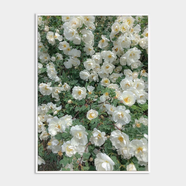 멜팅스튜디오 알루미늄 나의 유럽 모먼트 액자 세트 108번 Among the flowers 멜팅스튜디오 알루미늄 나의 유럽 모먼트 액자 세트 108번 Among the flowers