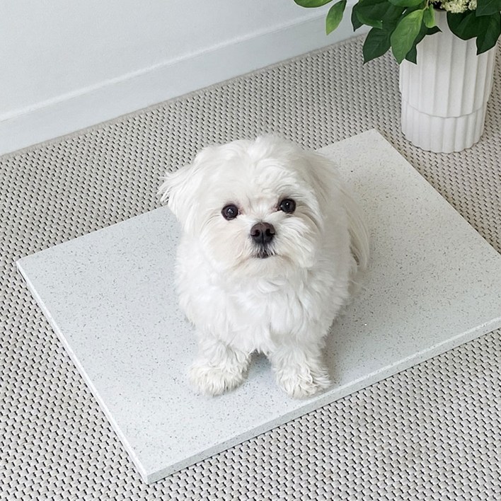 베베페페 강아지 대리석 쿨매트 엔지니어드스톤