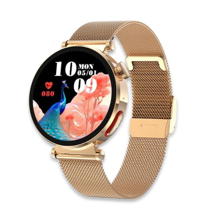 액션맨 글루코워치 EP 건강데이터 스마트워치 한국어지원 온라인설명서 AS 지원, 골드메쉬, 4.4cm, 블루투스