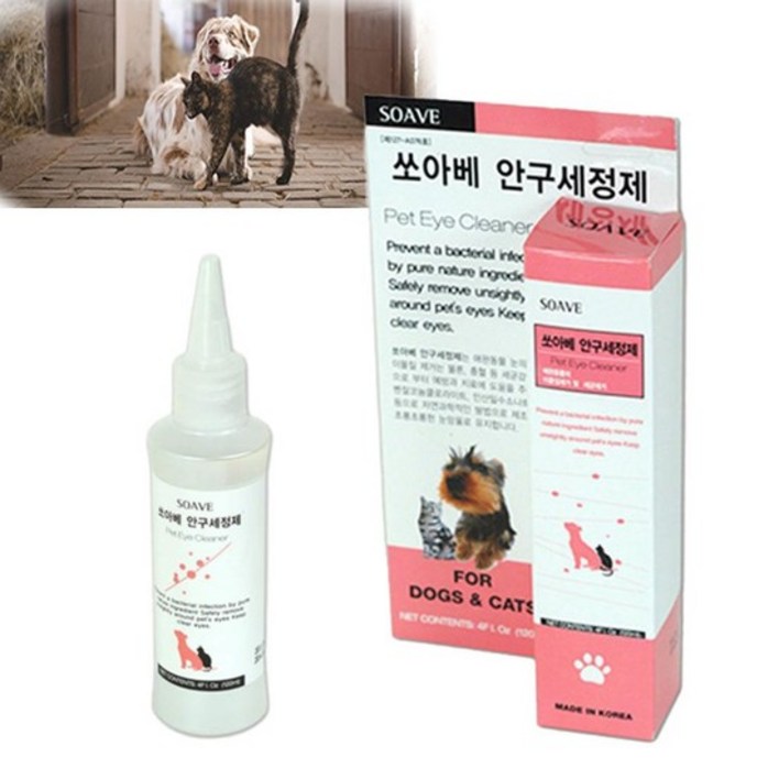 강아지눈꼽 청소 눈물냄새 인공 안약 안구 눈세정제