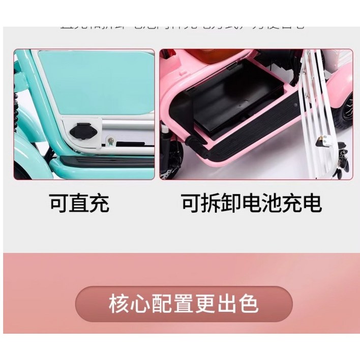 펫라이드 애견탑승 세발전기자전거 여성추천 3인승 출퇴근용 삼륜 전동스쿠터 언덕등판가능