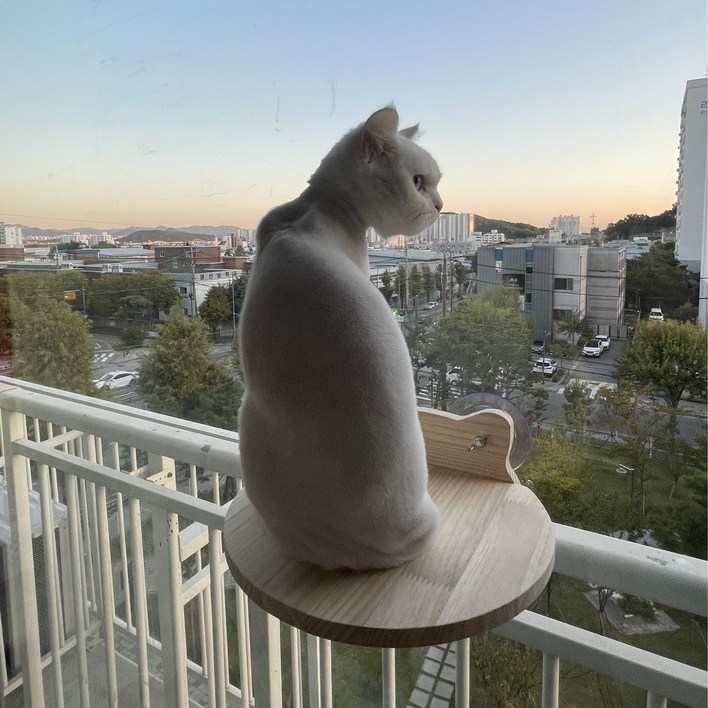 디바인 고양이 창문 캣타워 캣워커