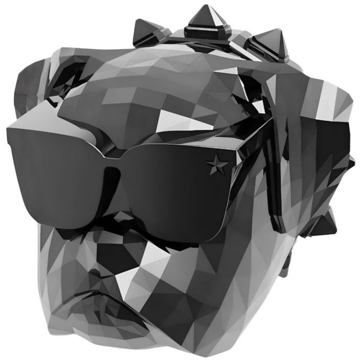 1+1 크롬디 차량용방향제, 크롬블랙, 클린코튼, 2세트