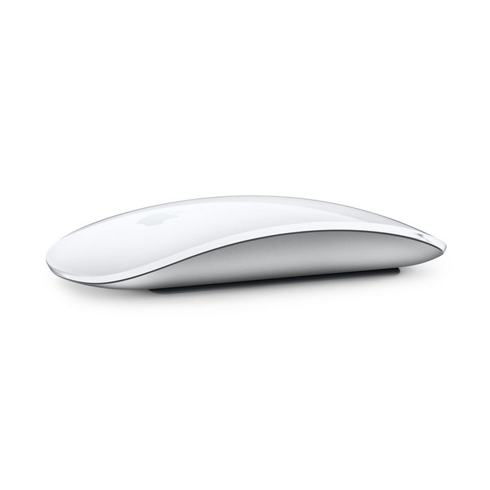 Apple 2021년 Magic Mouse