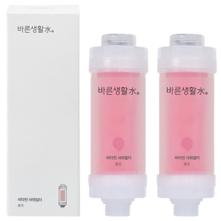 바른생활수 염소 제거 비타민 샤워필터, 2개, 로즈