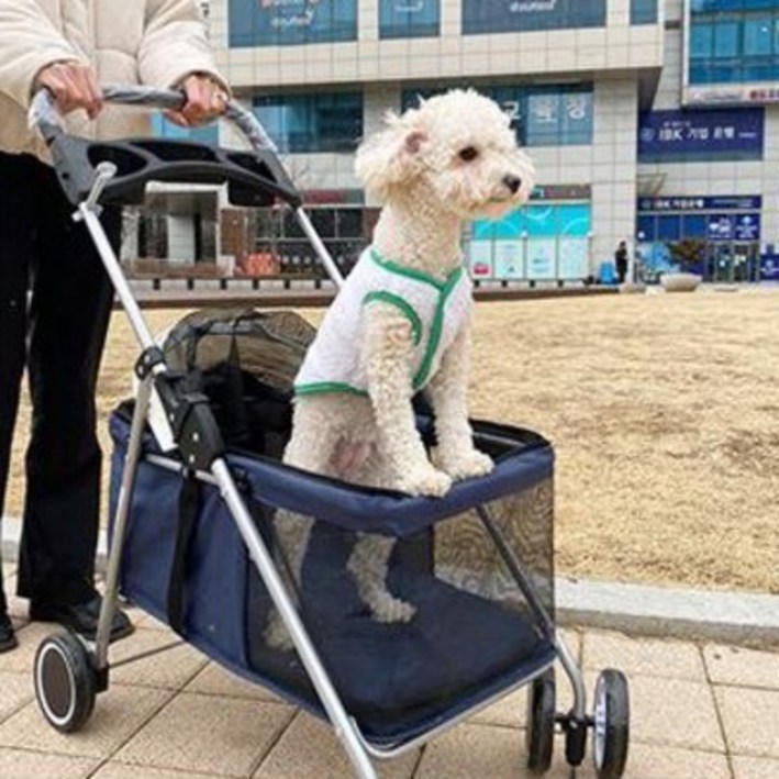 반려사이 저상형 강아지 유모차, 블루