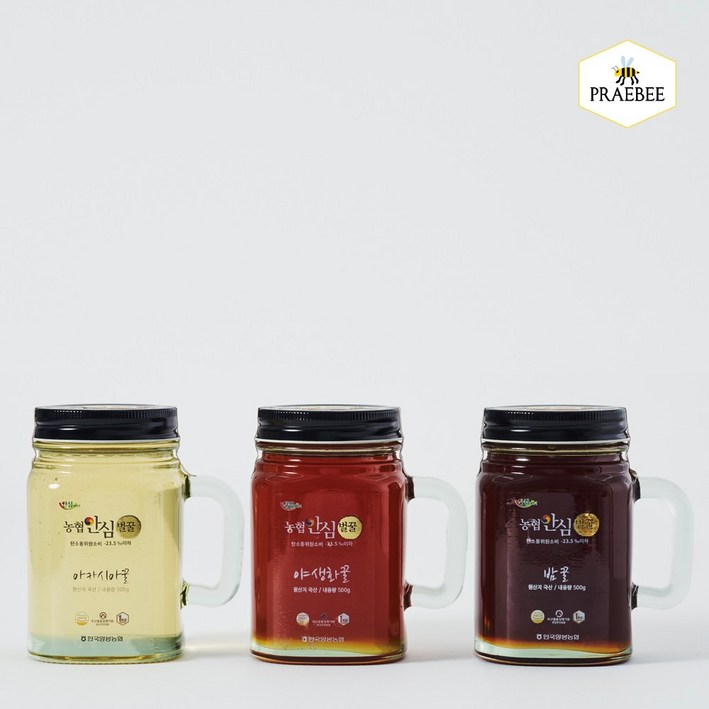 [프레비] 한국양봉농협 안심 천연벌꿀 머그 500g (아카시아/밤/야생화) (택1), 야생화꿀