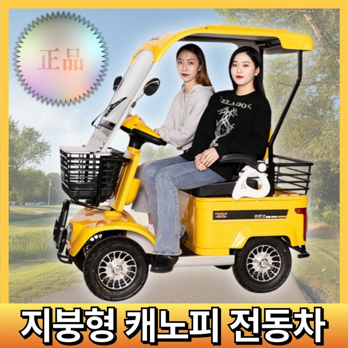 치앤원 지붕 있는 노인 전동차 캐노피 어르신 전기차 전동 전기 스쿠터 대용량 배터리 치앤원 지붕 있는 노인 전동차 캐노피 어르신 전기차 전동 전기 스쿠터 대용량 배터리