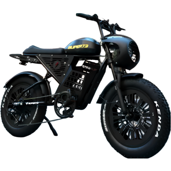 블루라이드 전기 자전거 20인치 펫바이크 mtb 전동 리튬 배터리 배달 여행 레트로 바이크