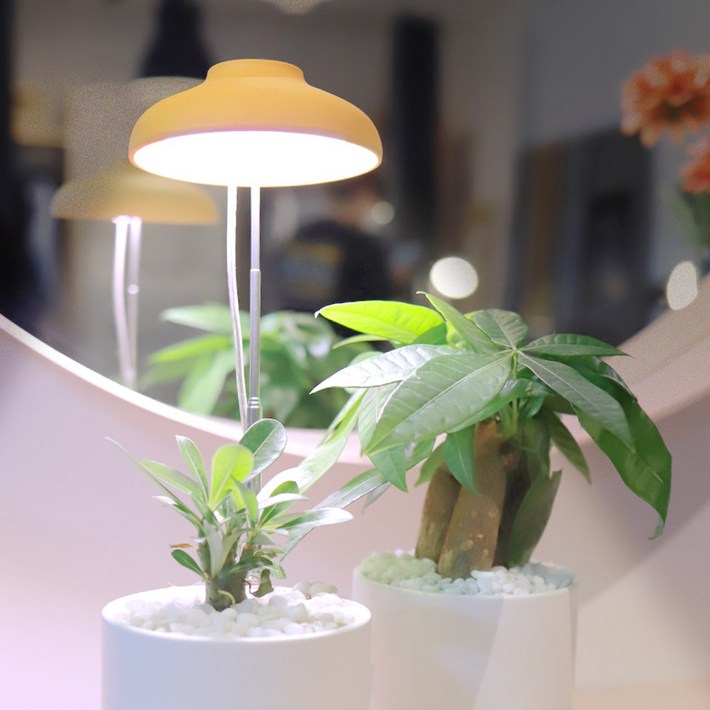 식물전파사 빛뿌리개, LED 식물등 생장 효과 식물 조명, 화이트 (리뉴얼버전 : 멀티스위치)