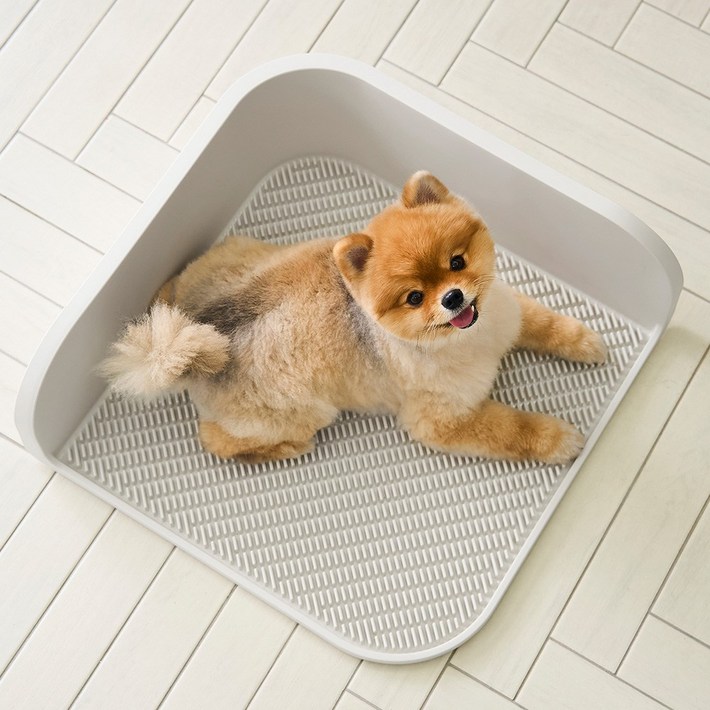 두잇 마킹방지 커스텀 배변판 강아지 화장실 배변매트