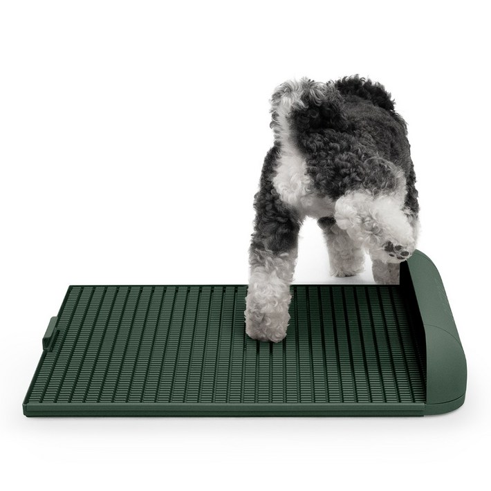 독톡 강아지 연장형 배변판