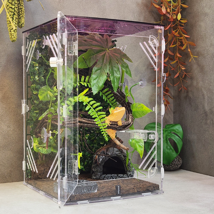 에버리움 크레스티드 게코 도마뱀 아크릴 사육장 세트  중형 24x24x36cm, 1세트, 와인썬셋