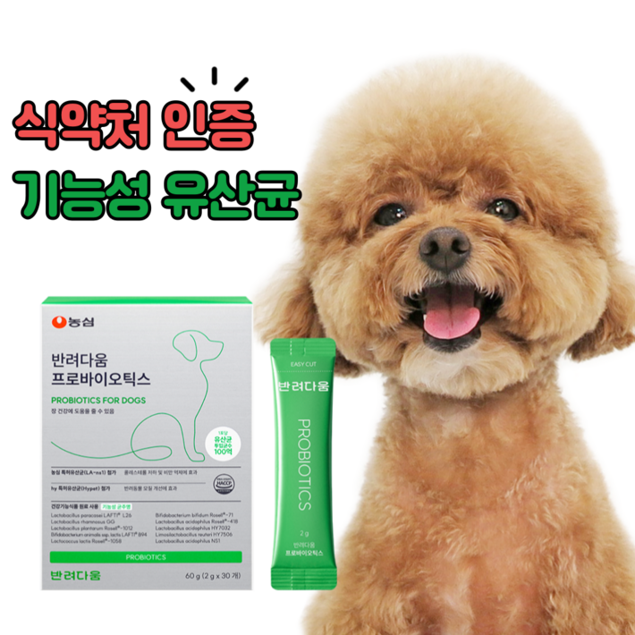 농심 반려다움 강아지 유산균 영양제 애견 펫 프로바이오틱스 30포