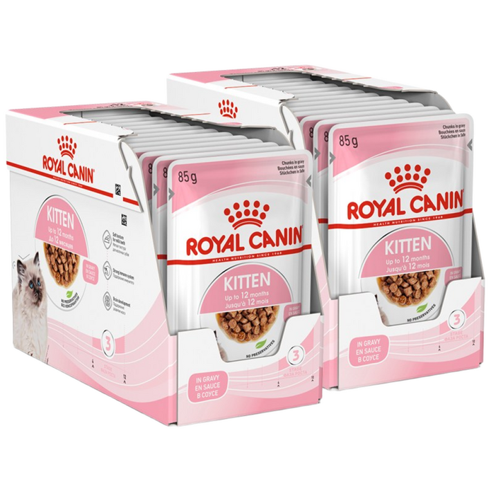 로얄캐닌 고양이 사료 키튼 그레이비 습식 85G X 24개 면역력 강화 도움, 24개, 85g, 닭