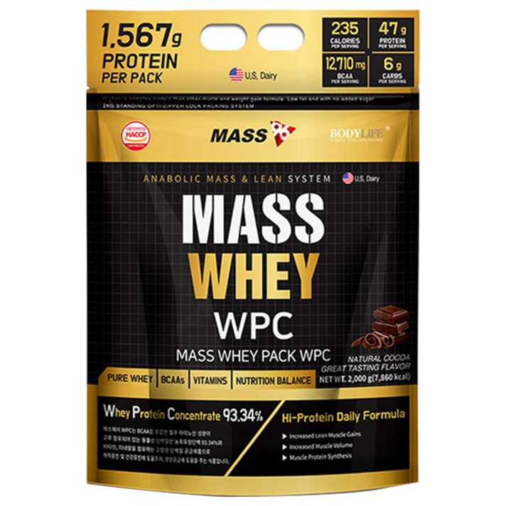 매스96 매스웨이 포대유청 WPC 보충제 초코맛, 2000g, 1개