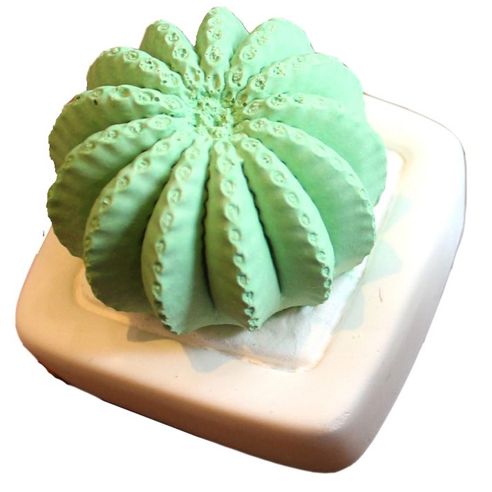 
                                                        미쁘다 선인장 석고 방향제 그린, 화이트머스크
                                                    