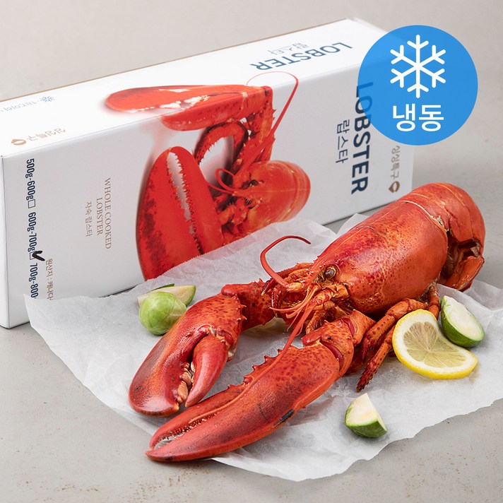 싱싱특구 자숙 랍스타 (냉동), 600~700g, 1마리