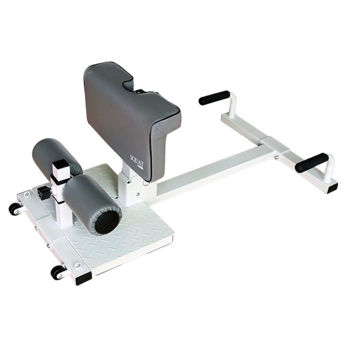 로베라 올인원 헬스 운동 멀티 스쿼트머신 MS300