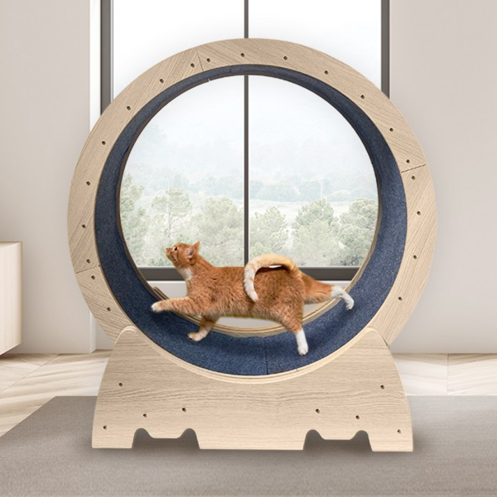 펫샵 저소음 안전 잠금장치 간단설치 우다다 캣휠