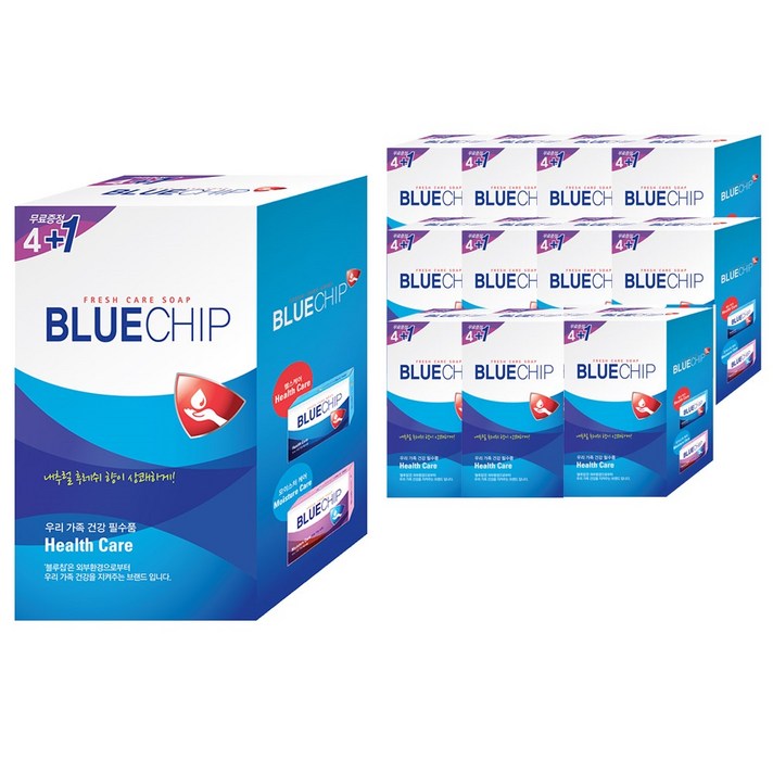 블루칩 헬스케어 세로형 비누 5p, 500g, 12개입
