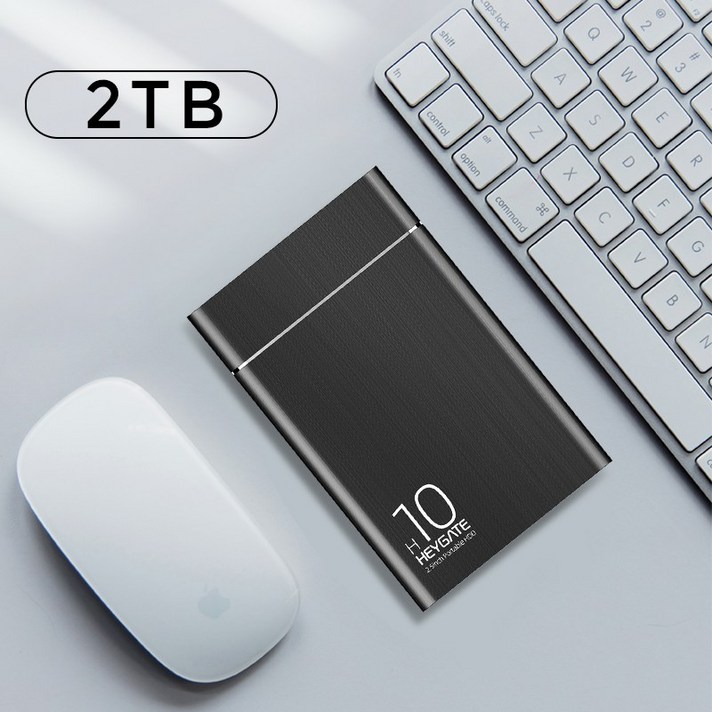 ZhanX 외장하드고속저장 HarddiskNo.87, 정부측, 【 2TB 】 USB 3.0 패션 블랙 H10