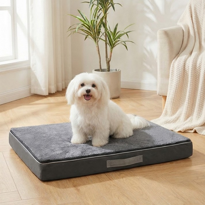 노야 강아지 방석 사계절 커버분리형 메모리폼 사각 애견 쿠션 침대