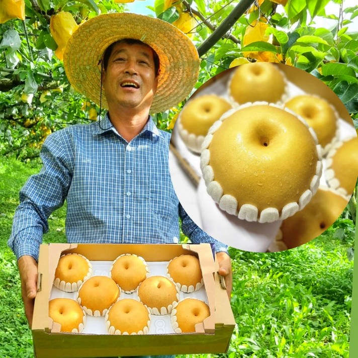 [당도-선별] 산지-직송 현대식품관입점 선물용 배 3kg 5kg, 2)[햇배의 최고봉] 화산배, 2)[명절 예약배송] 희망 출고일 배송메세지 입력