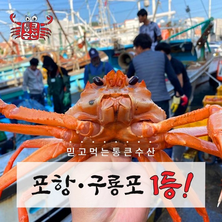[구룡포 통큰수산] 자숙 연지홍게 2kg (8~10미) 다리수율 80%이상 수율보장 청춘 당일발송 또는 순차배송 포항 홍게 가성비 산지직송 선주직송, 8~10마리