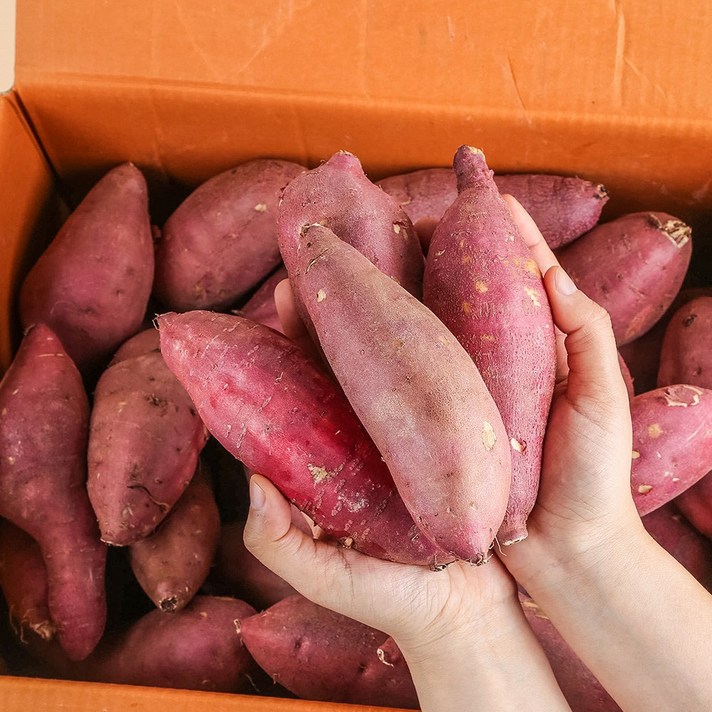  [농부마음] 품질인증 햇 꿀 밤고구마 세척고구마, 10kg(한입), 1박스 