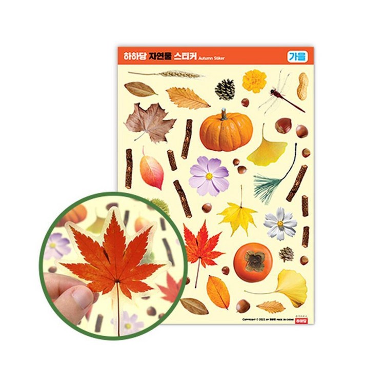 아페페 가을 단풍 열매 투명스티커 만들기 미술재료 2장 어린이집미술교구 꾸미기 HA3582