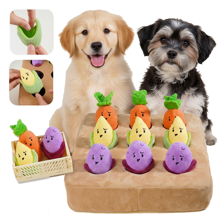 달몽베베 노즈워크장난감 애완용품 당근 고구마